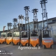 Agrimondo S.A.S. carrelli elevatori