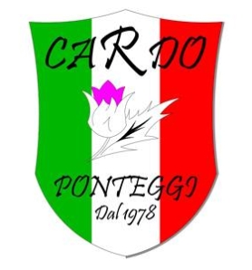 CARDO PONTEGGI S.R.L.