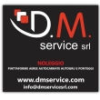 D.M. SERVICE SRL