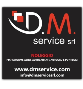 D.M. SERVICE SRL
