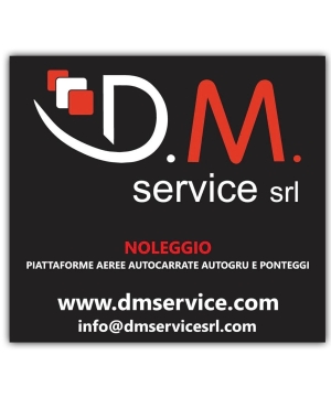 D.M. SERVICE SRL