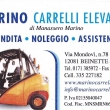 info@marinocarrelli.it