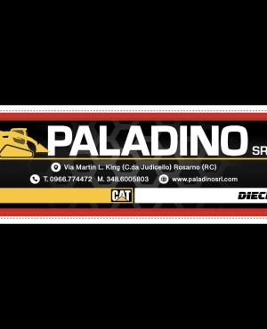 paladinocat@virgilio.it