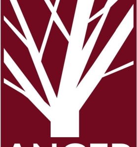 ANGER INFISSI BENEVENTO