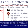 nardella.simo@yahoo.it