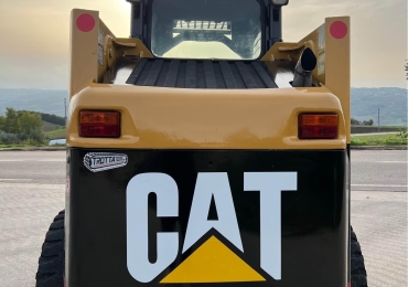 Cat246T