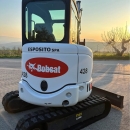 Bobcat