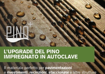 Tavole in pino