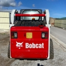 Bobcat