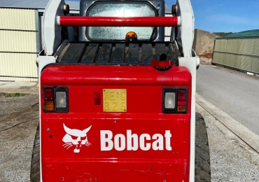 Bobcat