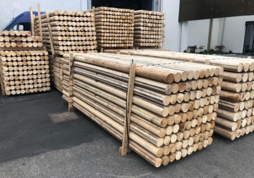 PALI