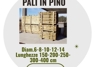 PALI IN PINO E CASTAGNO
