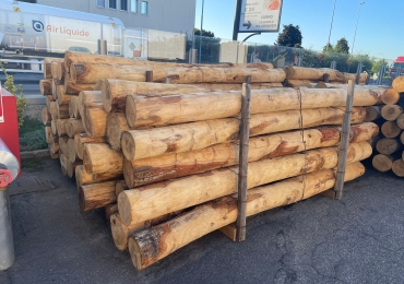 PALERIA DI CASTAGNO SCORTECCIATO