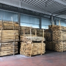 Vendita paleria in castagno e pino