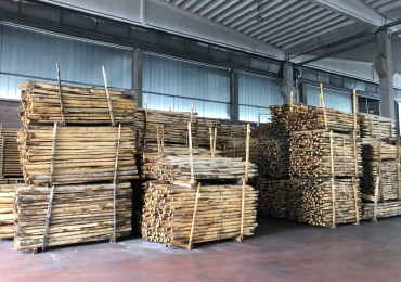 Vendita paleria in castagno e pino