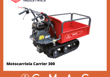 MOTOCARRIOLA CARRIER300