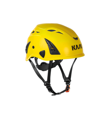 CASCO PLASMA