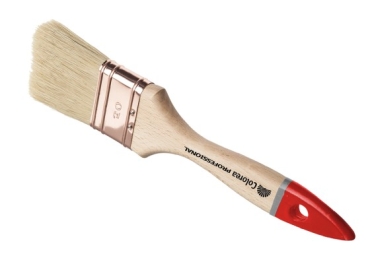 PENNELLESSA PROFESSIONALE