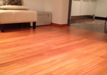 LISTELLO PREFINTO DI DOUSSIE