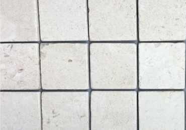 LIMESTONE PIETRA SEDIMENTARIA