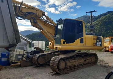 Escavatore cingolato