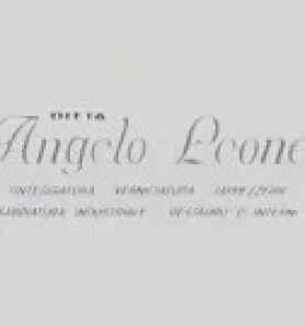 DITTA ANGELO LEONE