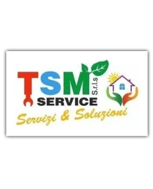 TSM SERVICE