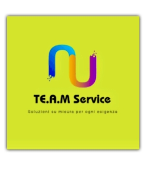 TE. A.M. SERVICE- TECNICA ASSISTENZA MANUTENZIONE