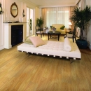 PARQUET OLMO