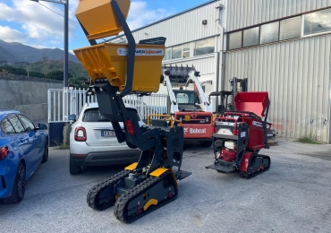 Minicarriola cingolata