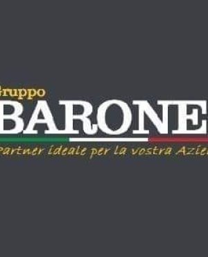 info@gruppobarone.it