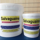 Salvaguaina