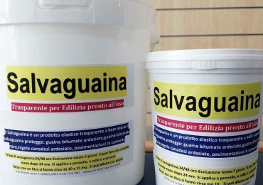 Salvaguaina