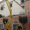 Piattaforma Autocarrata Snake 2190 “Metropolis”