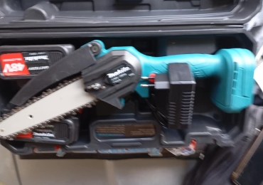 Motosega professionale