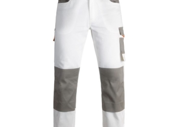 Pantalone paint industry