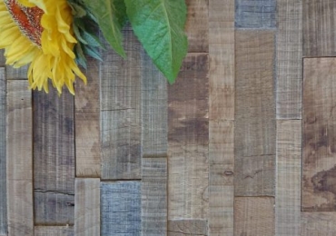 RITAGLI DI QUERCIA TOSCANA