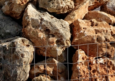 ROCCETTE ORNAMENTALI