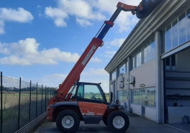 Sollevatore Telescopico