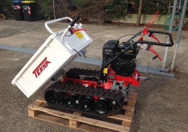 Motocarriola Tekna 350