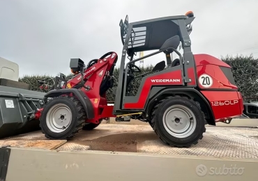 Pala gommata weidemann